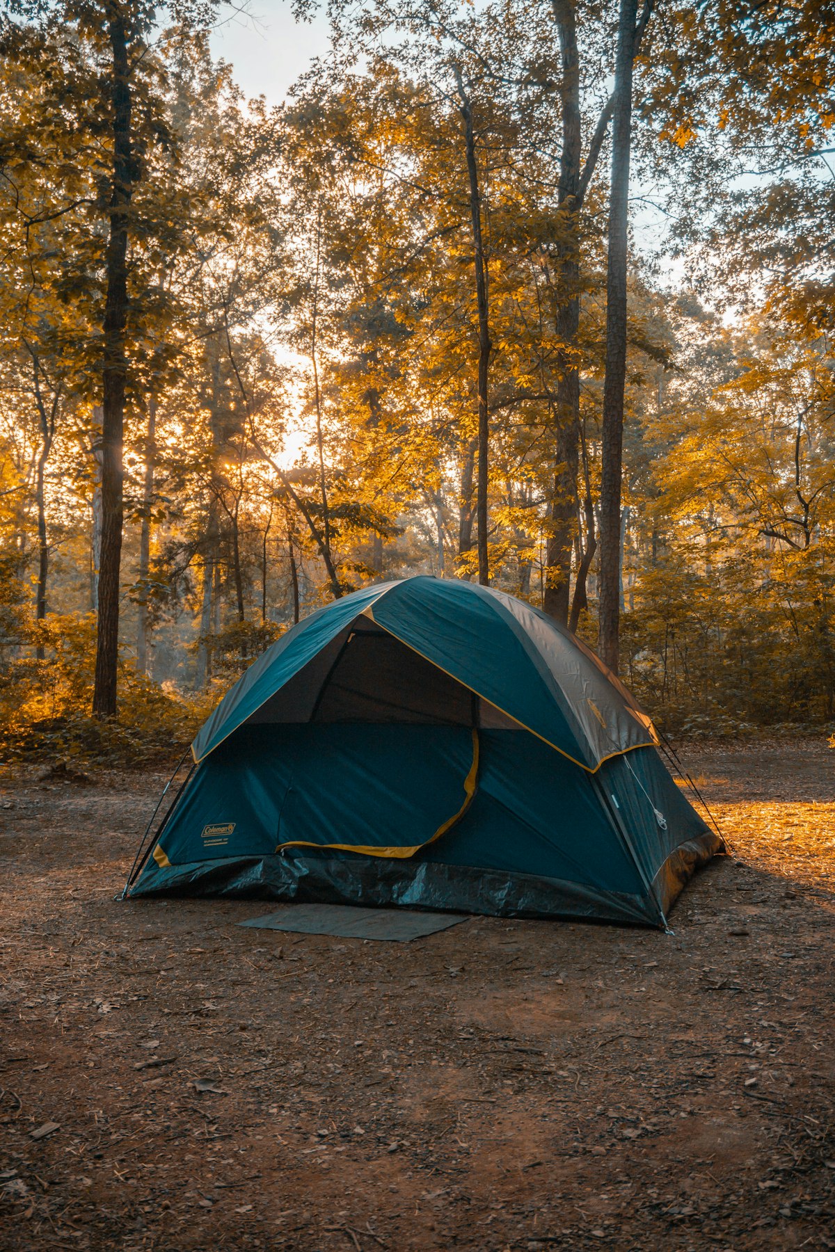 A dome tent in a sunlit forest clearing during the day - solo camping fitness preparation
