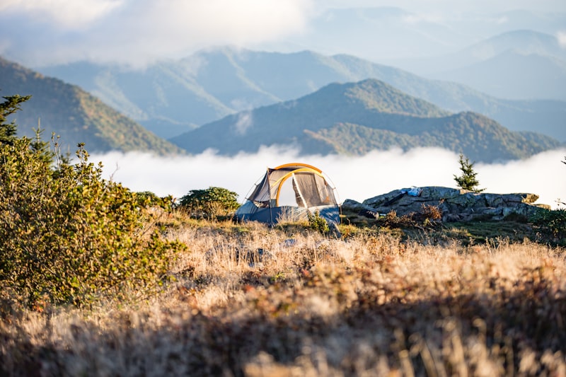 Forest camping scene with tent - solo camping for two in the woods