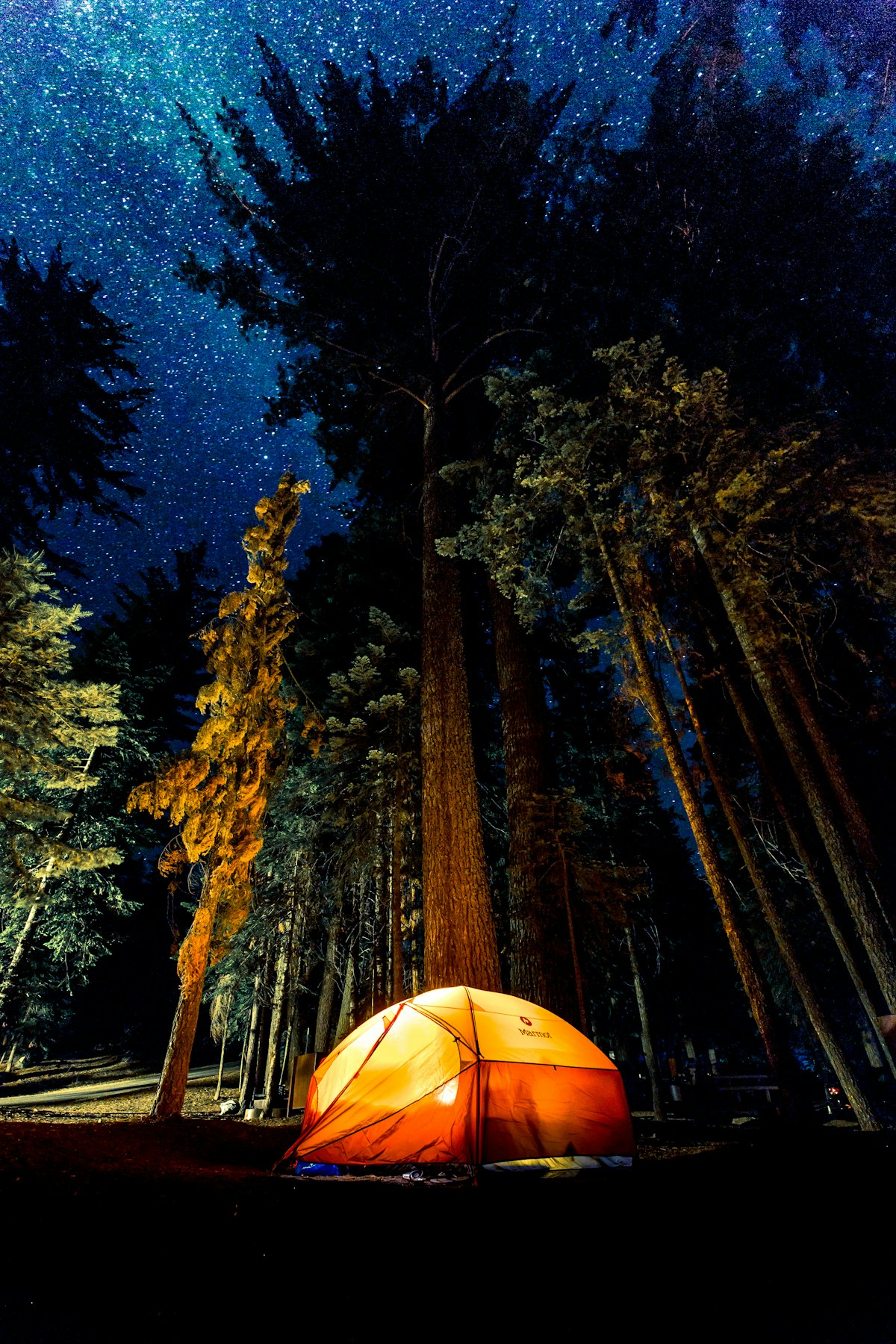 A glowing tent in the forest at night under the stars - solo camping for two stargazing guide