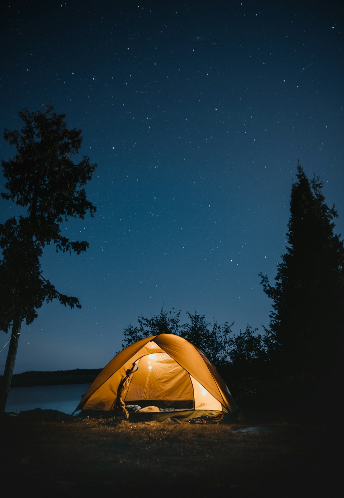 A dome tent among dark trees at night in the wilderness - solo camping wildlife safety